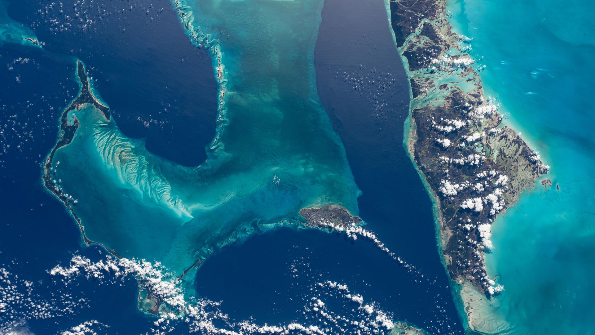 Bahamas Space