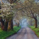 Cades Cove