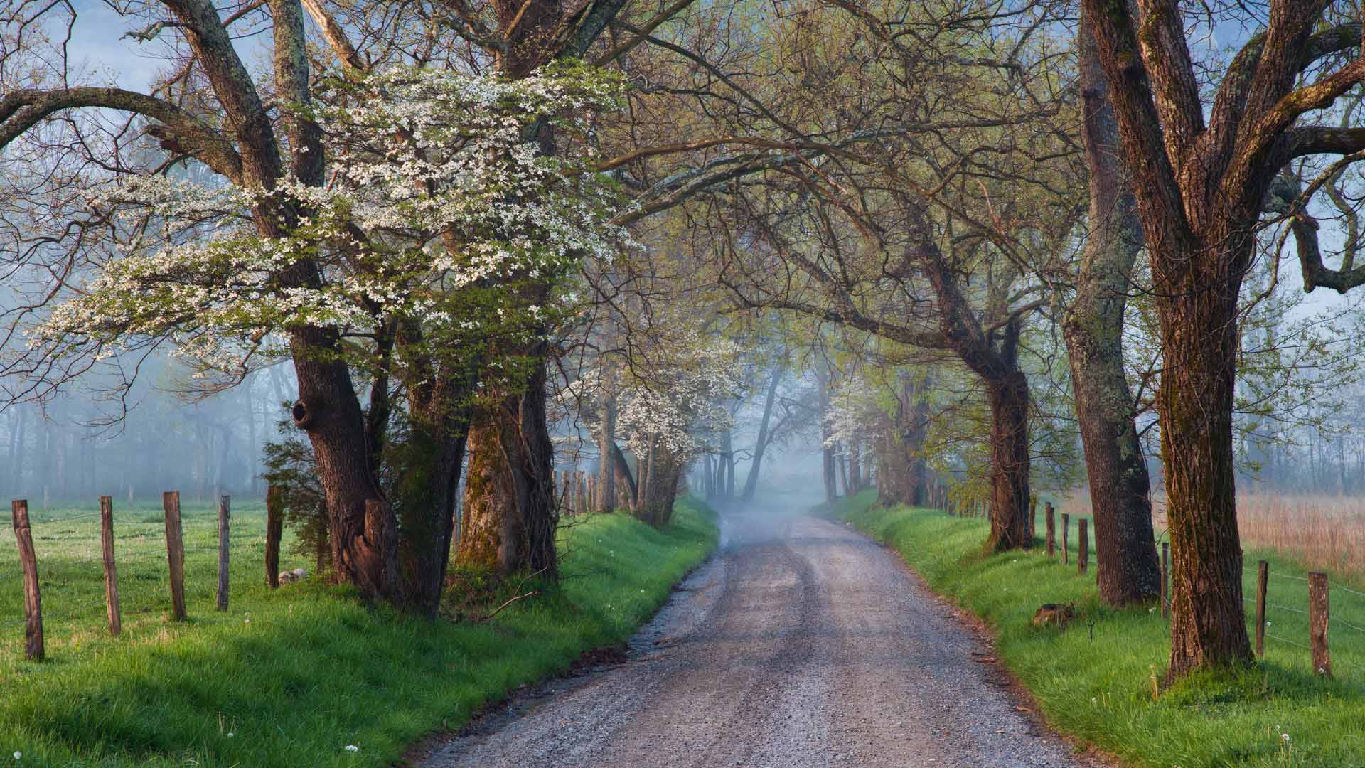 Cades Cove