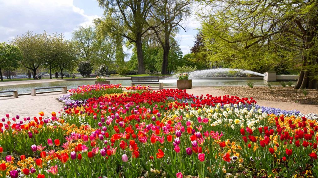 Cologne Flower Bed