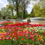 Cologne Flower Bed