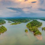 Mangrove Islands