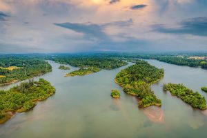 Mangrove Islands