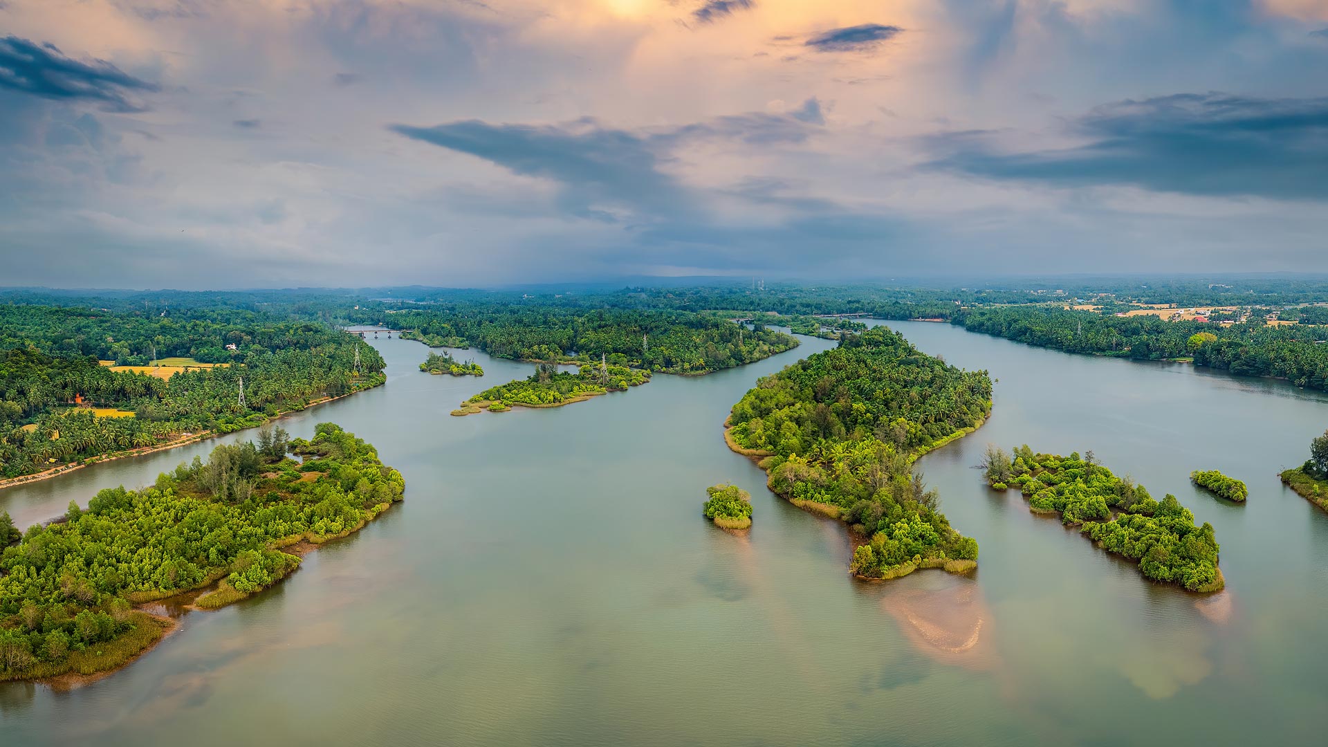 Mangrove Islands