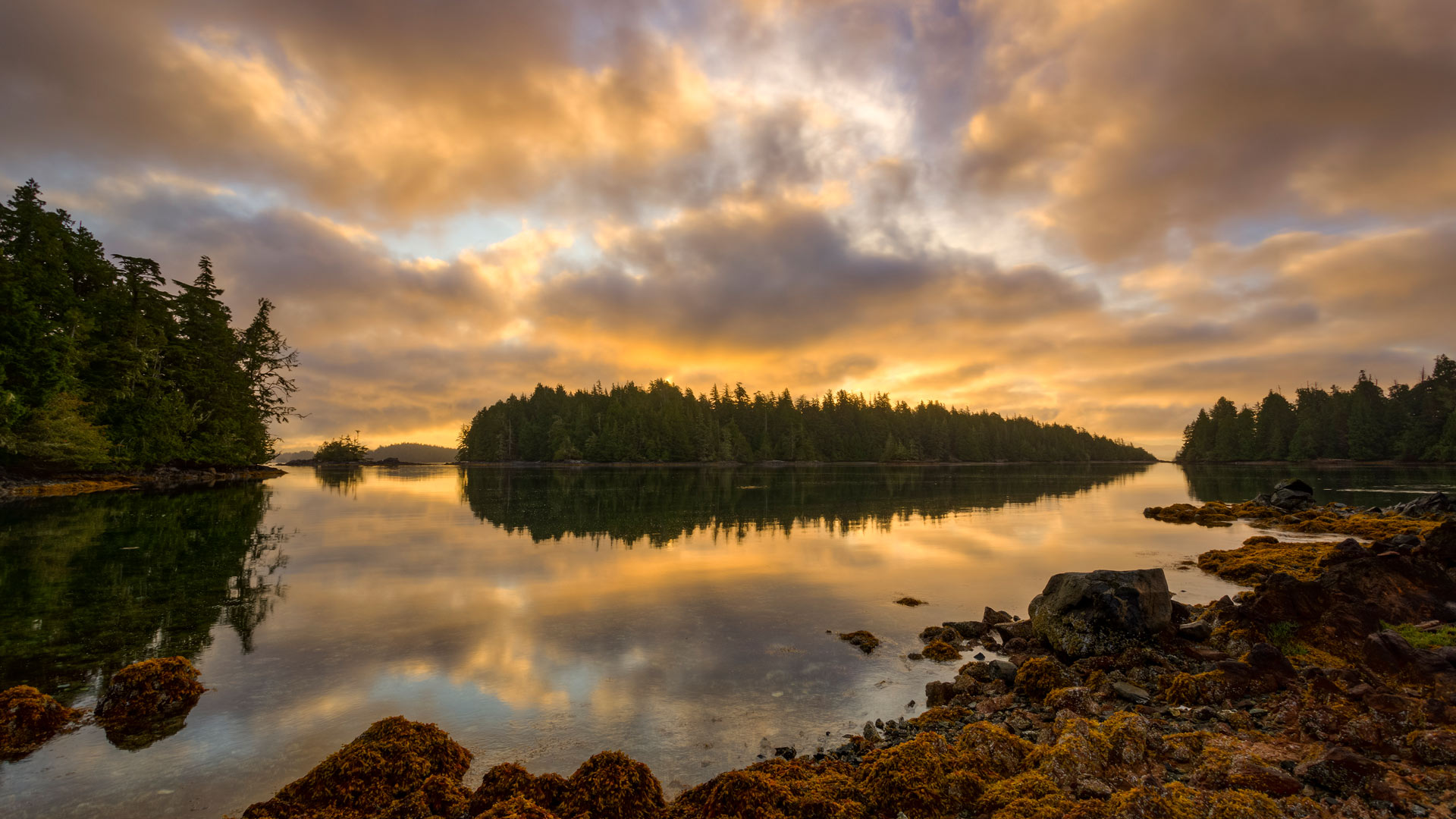 Pacific Rim National Park