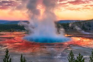 Yellowstone Geyser