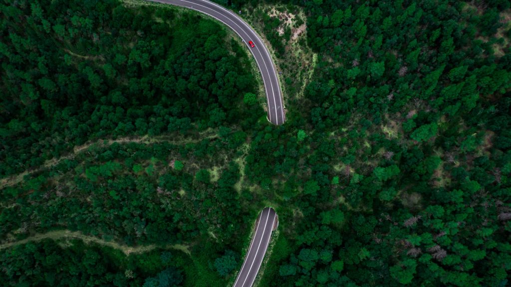 Girona Forest