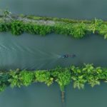 Kerala River