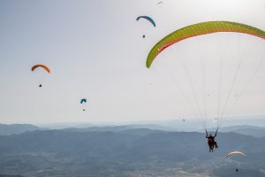 Paragliding Champion