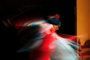 Flamenco Day2024