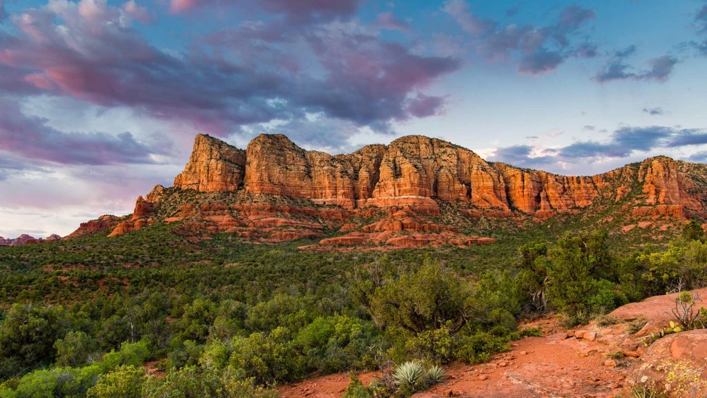 Sedona Spring