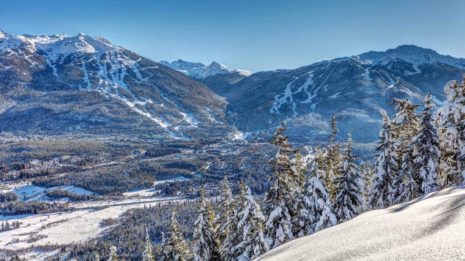 Whistler Snowboard