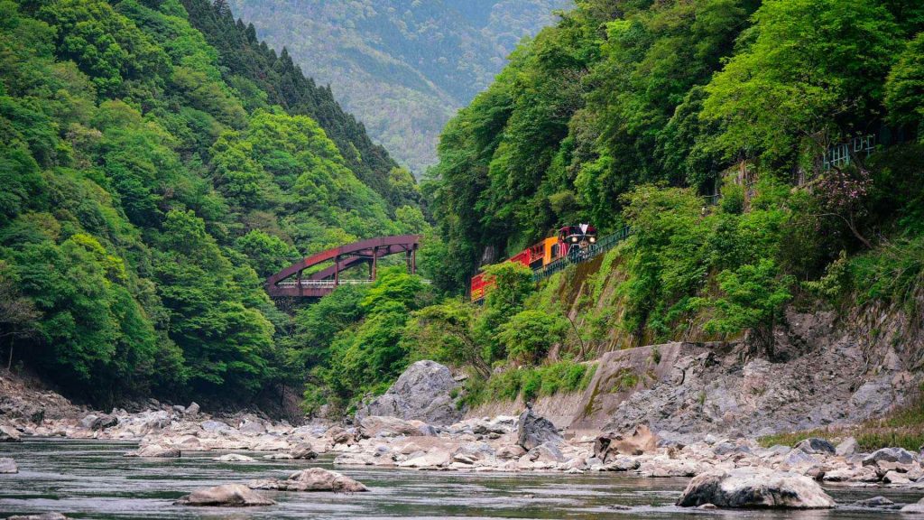 Arashiyama2025