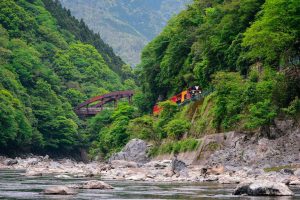 Arashiyama 2025