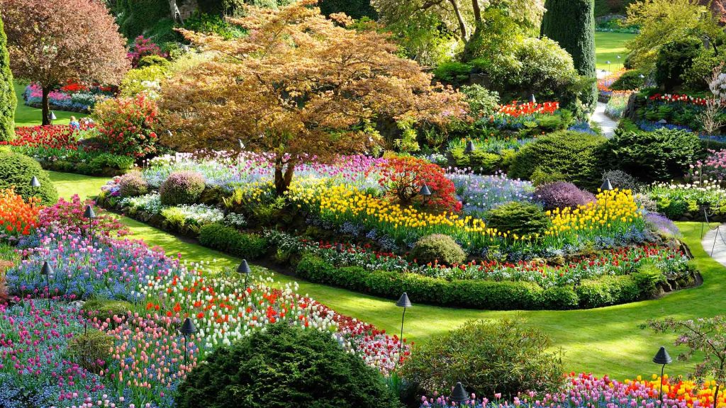 Butchart Flowers