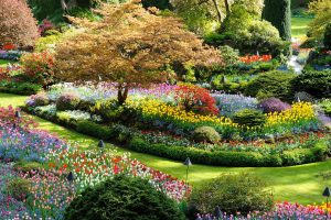 Butchart Flowers