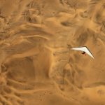 Flyover Namibia