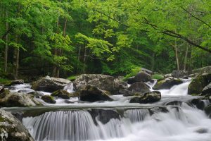 Little Pigeon River