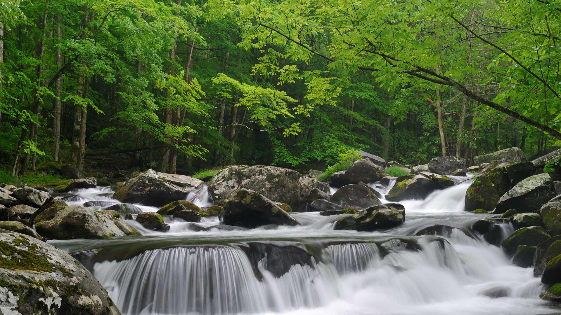 Little Pigeon River