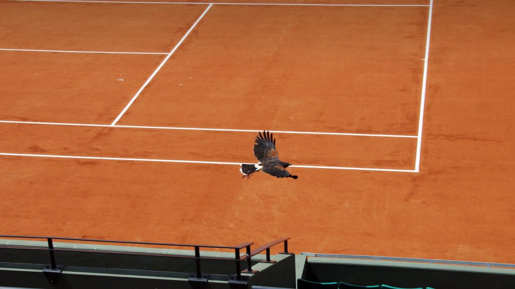 Roland Garros