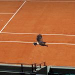 Roland Garros