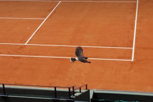 Roland Garros
