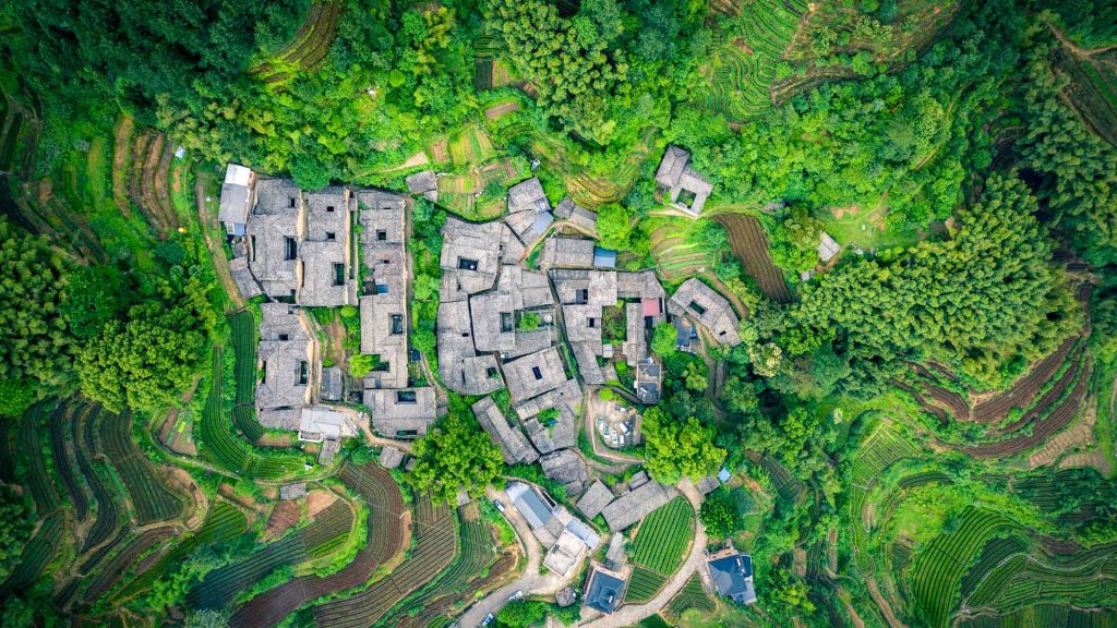 Songyang Tea Garden