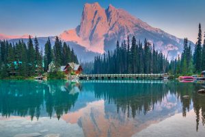 Yoho NP