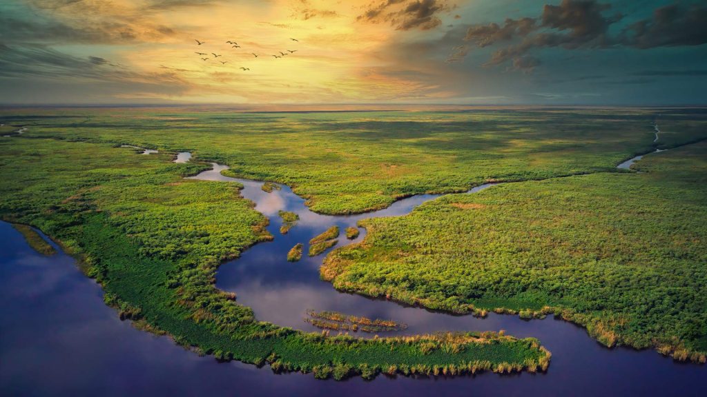 Aerial Everglades