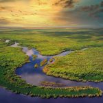 Aerial Everglades