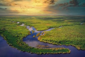 Aerial Everglades