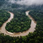 Amazon Ecuador
