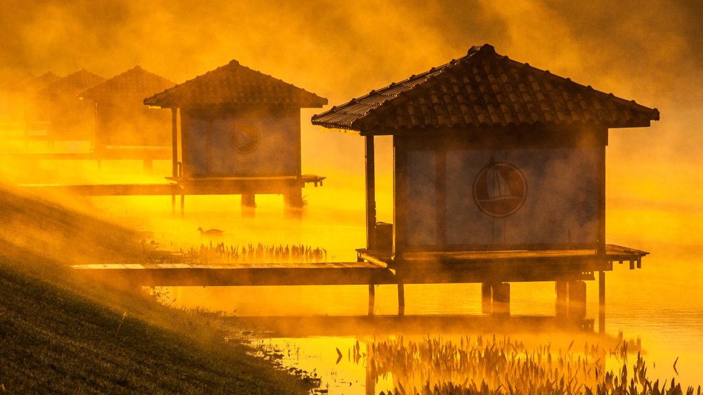Araraquara