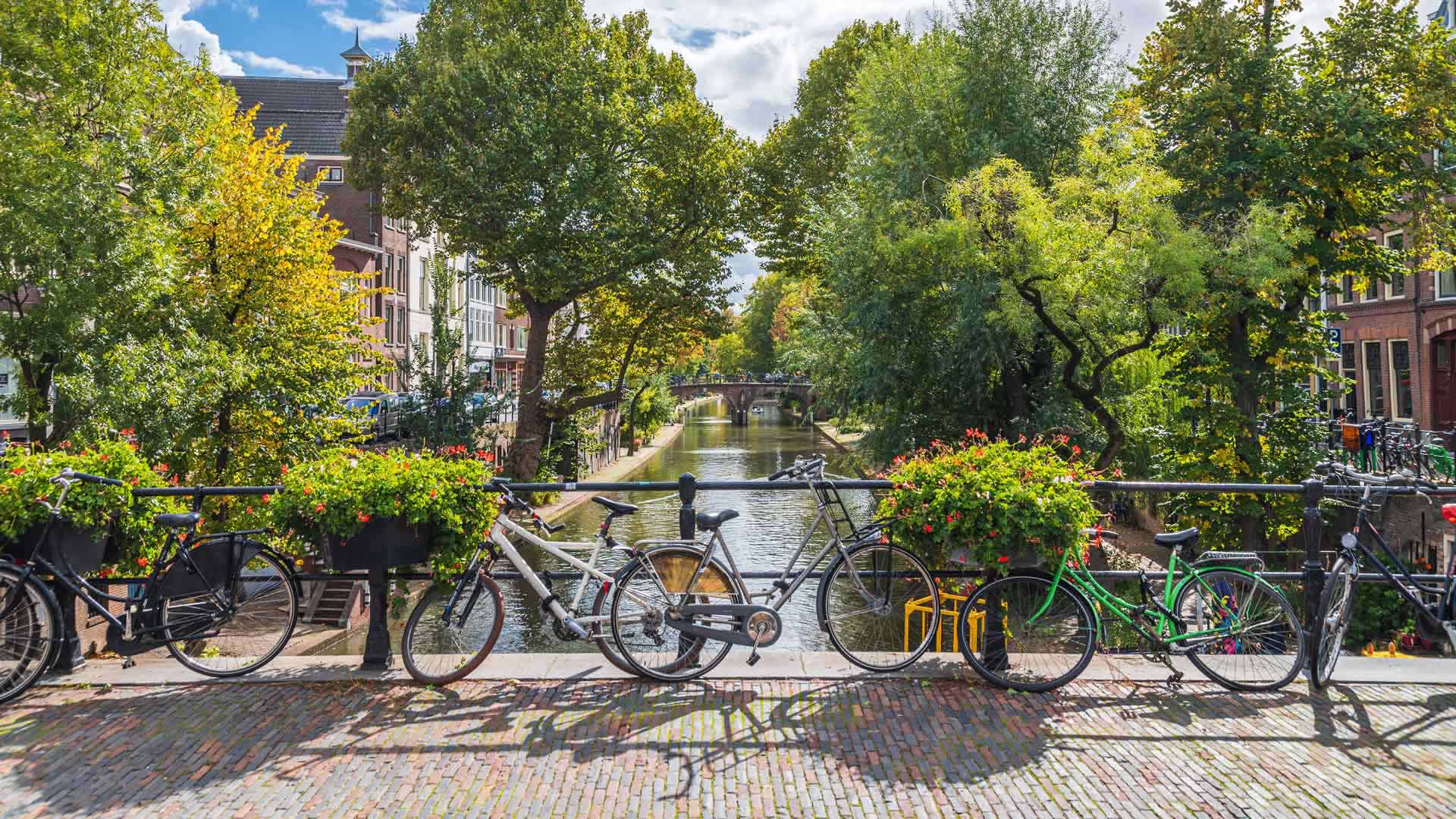 Bicycles Utrecht