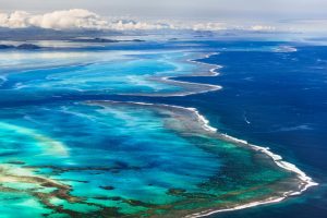 Grande Terre Reef
