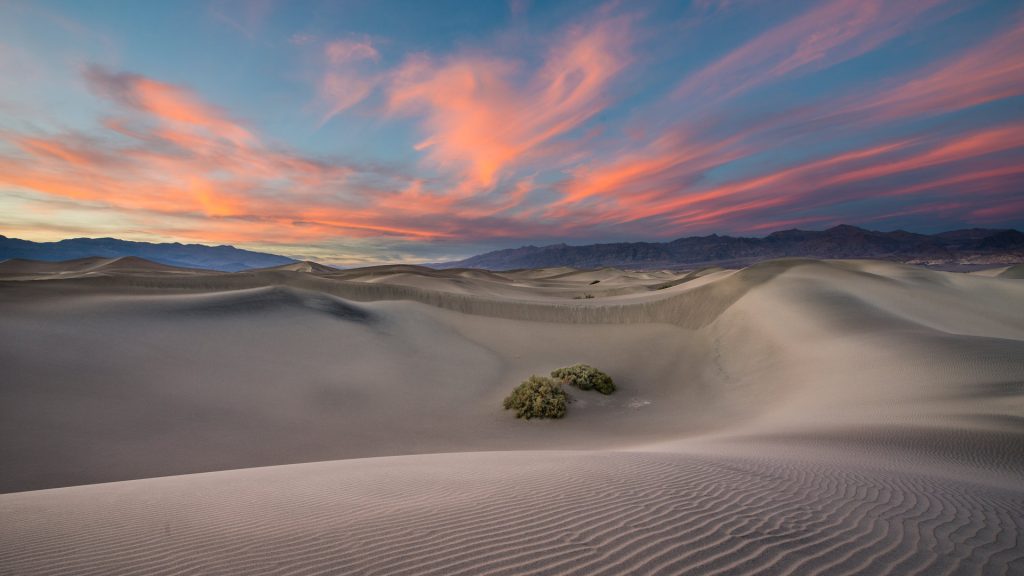Mesquite Flats