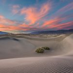 Mesquite Flats