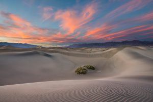 Mesquite Flats