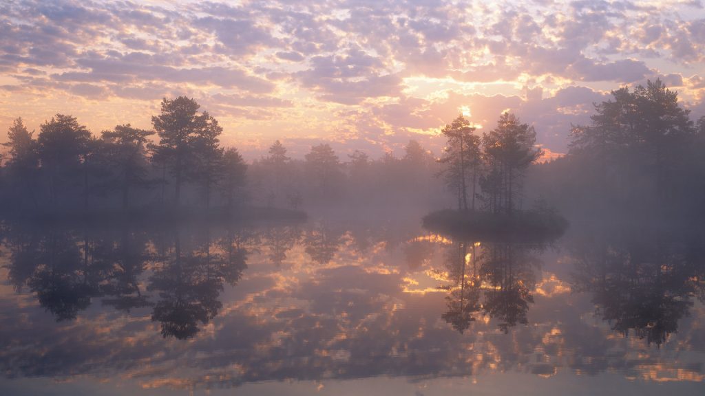 Sweden Reserve
