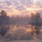 Sweden Reserve