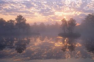 Sweden Reserve