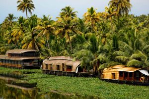Kerala Houseboats