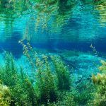 Rainbow River