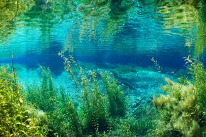 Rainbow River