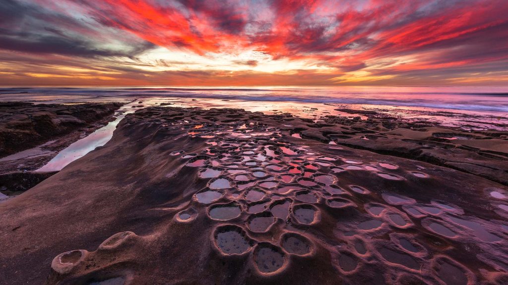 California Tidepool