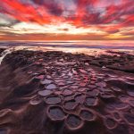 California Tidepool