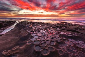 California Tidepool