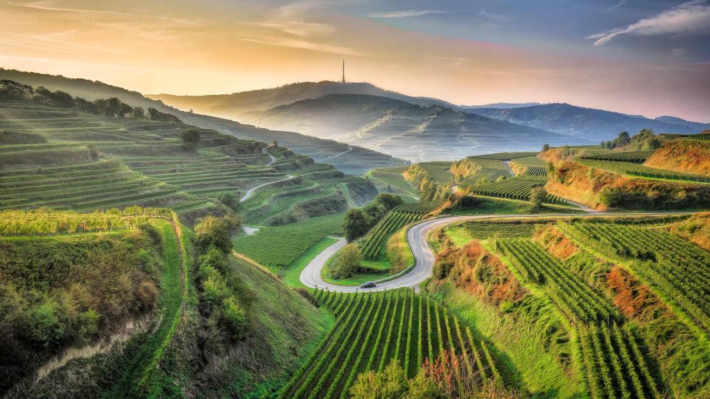 Field Kaiserstuhl