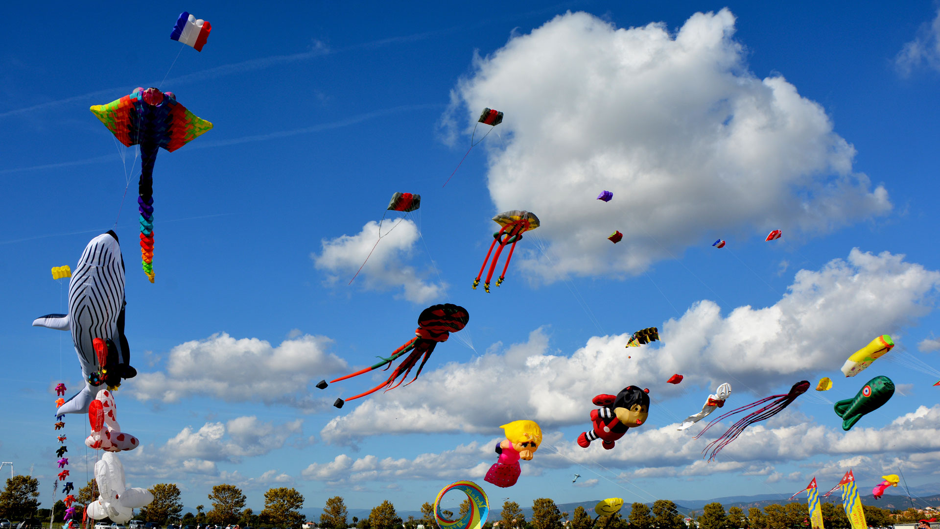 Kite Frejus