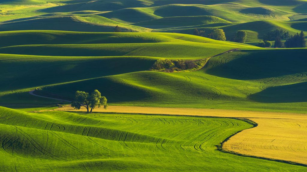 Palouse WA